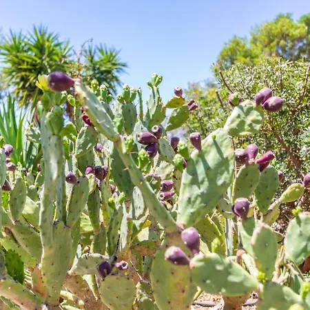 Apartmanhotel Borgo Del Sole Salento