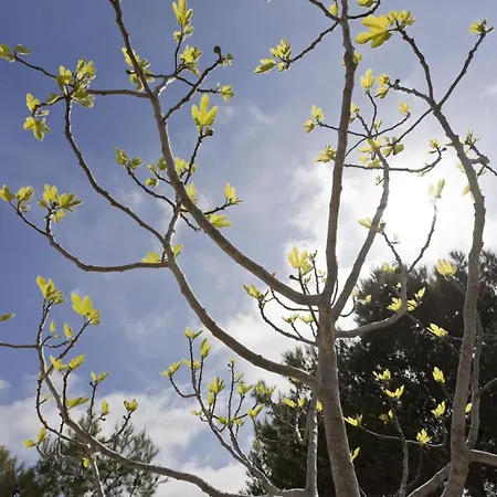 Borgo Del Sole Salento Apartmanhotel